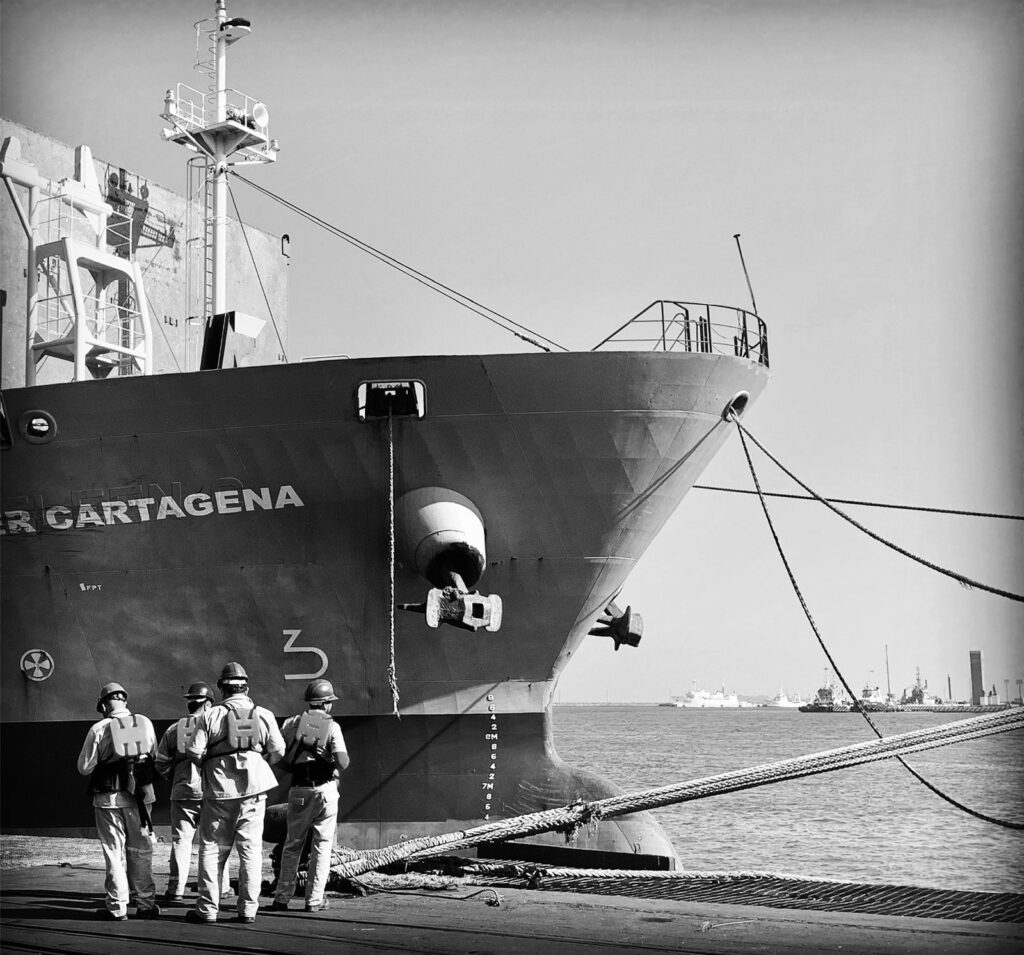 automotive whatsapp image 2025 11 18 at 19.15.47 (3)